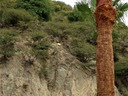 St. Maarten (day 5)