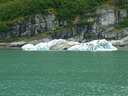 College Fjord contains lots of small icebergs.