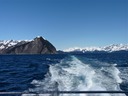 The views in Kenai Fjords are spectacular!