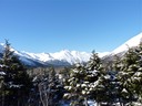 Taken from the train on the way to Seward.